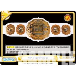 画像1: IWGP INTERCONTINENTAL[Re_NJPW/001TV-077TD]