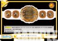 【TD+仕様】IWGP INTERCONTINENTAL[Re_NJPW/001TV-077S]