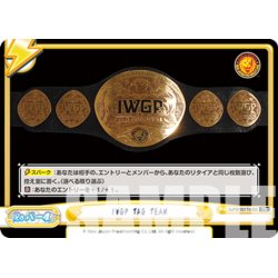 画像1: IWGP TAG TEAM[Re_NJPW/001TV-092TD]