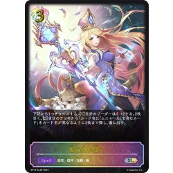 画像1: ★SLプレミアム★包み込む願い[SVE_BP12-SL26_SL]