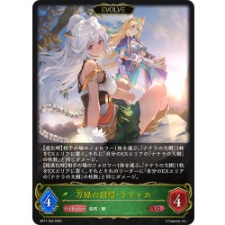 画像1: 【EVOLVE】万緑の回帰・ラティカ[SVE_BP17-003_LG]