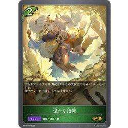 画像1: 温かな抱擁[SVE_BP17-007_GR]