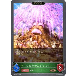 画像1: 【EVOLVE】ブロッサムトレント[SVE_BP17-014_BR]
