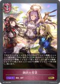 鋼鉄の希望[SVE_BP17-080_GR]