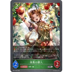 画像1: ★SRプレミアム★採集の獣人[SVE_BP17-P02_SR]