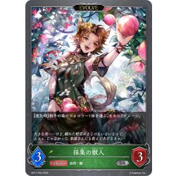 画像1: ★SRプレミアム★【EVOLVE】採集の獣人[SVE_BP17-P03_SR]