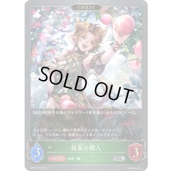 画像1: ★SRプレミアム★【EVOLVE】採集の獣人[SVE_BP17-P03_SR]