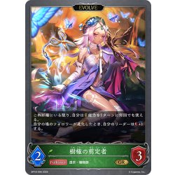 画像1: 【EVOLVE】樹権の剪定者[SVE_BP18-006_GR]