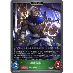 画像1: 【EVOLVE】樹都の拳士[SVE_BP18-010_SR]