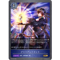 画像1: ブリリアントカット[SVE_BP18-046_GR]