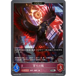 画像1: 【EVOLVE】穿りの鴉[SVE_BP18-087_SR]