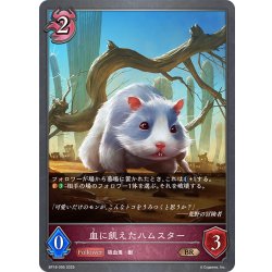 画像1: 血に飢えたハムスター[SVE_BP18-095_BR]