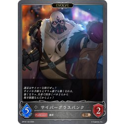 画像1: 【EVOLVE】サイバーグラスパンク[SVE_BP18-125_BR]