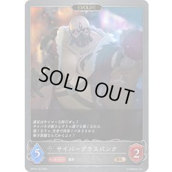 画像1: 【EVOLVE】サイバーグラスパンク[SVE_BP18-125_BR]