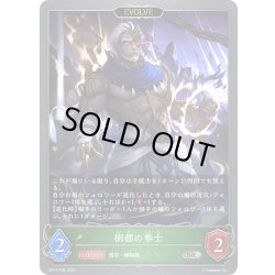 画像1: ★SRプレミアム★【EVOLVE】樹都の拳士[SVE_BP18-P06_SR]