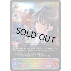画像1: ★SLプレミアム★〔徹底管理主義〕樫本理子[SVE_CP01-SL19SL]