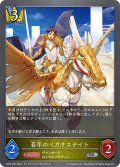 ★SRプレミアム★若年のペガサスナイト[SVE_CP03-P20_SR]