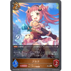 画像1: アヤネ[SVE_CP04-070_BR]