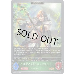 画像1: 【EVOLVE】薫交の天宮・バックウッド[SVE_EBD01-011_GR]