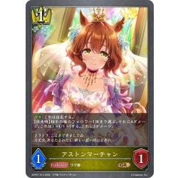画像1: アストンマーチャン[SVE_ECP01-014_GR]