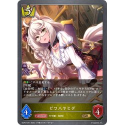 画像1: ビワハヤヒデ[SVE_ECP01-017_GR]