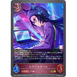 画像1: エアシャカール[SVE_ECP01-043_GR]