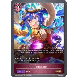 画像1: TT Ignition![SVE_ECP01-045_GR]