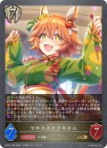 マチカネフクキタル[SVE_ECP01-052_GR]