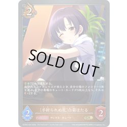 画像1: 〔手折られぬ花〕白菊ほたる[SVE_ECP02-044_GR]