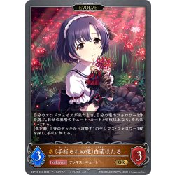 画像1: 【EVOLVE】〔手折られぬ花〕白菊ほたる[SVE_ECP02-045_GR]