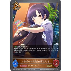 画像1: ★GRプレミアム★〔手折られぬ花〕白菊ほたる[SVE_ECP02-P23_GR]