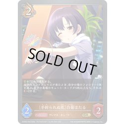 画像1: ★GRプレミアム★〔手折られぬ花〕白菊ほたる[SVE_ECP02-P23_GR]