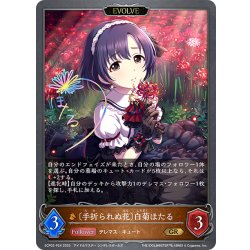 画像1: ★GRプレミアム★【EVOLVE】〔手折られぬ花〕白菊ほたる[SVE_ECP02-P24_GR]