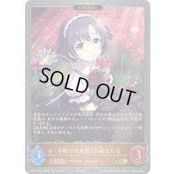 画像1: ★GRプレミアム★【EVOLVE】〔手折られぬ花〕白菊ほたる[SVE_ECP02-P24_GR]