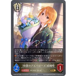 画像1: ★GRプレミアム★〔秘密のブルーローズ〕結城晴[SVE_ECP02-P37_GR]