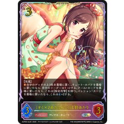 画像1: ★SLプレミアム★〔すく×2あかりんご〕辻野あかり[SVE_ECP02-SL20_SL]