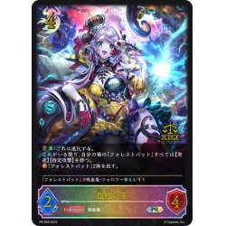 画像1: ★PR版プレミアム★血統の王[SVE_PR-269PR]