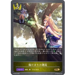 画像1: ★PR版プレミアム★陽だまりの邂逅[SVE_PR-453PR]