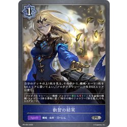 画像1: ★PR版プレミアム★叡智の結実[SVE_PR-454PR]