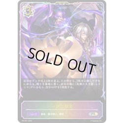 画像1: ★PR版プレミアム★一世の探究[SVE_PR-491PR]