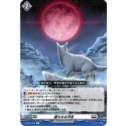 画像1: 虚ろなる月夜[VG_D-BT01/043R]