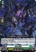 黒涙の骸竜[VG_D-BT01/050R]