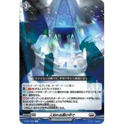 画像1: 人知れぬ闇の中で[VG_D-BT01/094C]