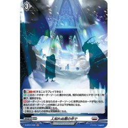 画像1: 【H仕様】人知れぬ闇の中で[VG_D-BT01/H30H]