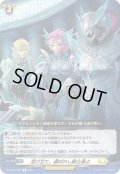 並び立て、選ばれし騎士達よ[VG_D-BT02/049R]