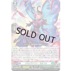 画像1: ハルシナトリィ・モルフォ[VG_D-BT11/015RRR]