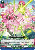 明日に香る蕾を信じて[VG_D-BT13/056R]