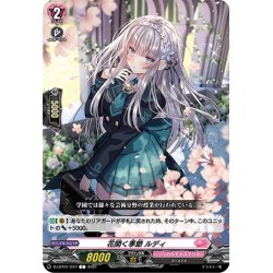 画像1: 花開く季節 ルディ[VG_D-LBT01/077C]