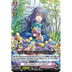 画像1: ナチュラルチャープ メルリア[VG_D-LBT02/030R]