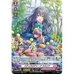 画像1: 【H仕様】ナチュラルチャープ メルリア[VG_D-LBT02/H10]